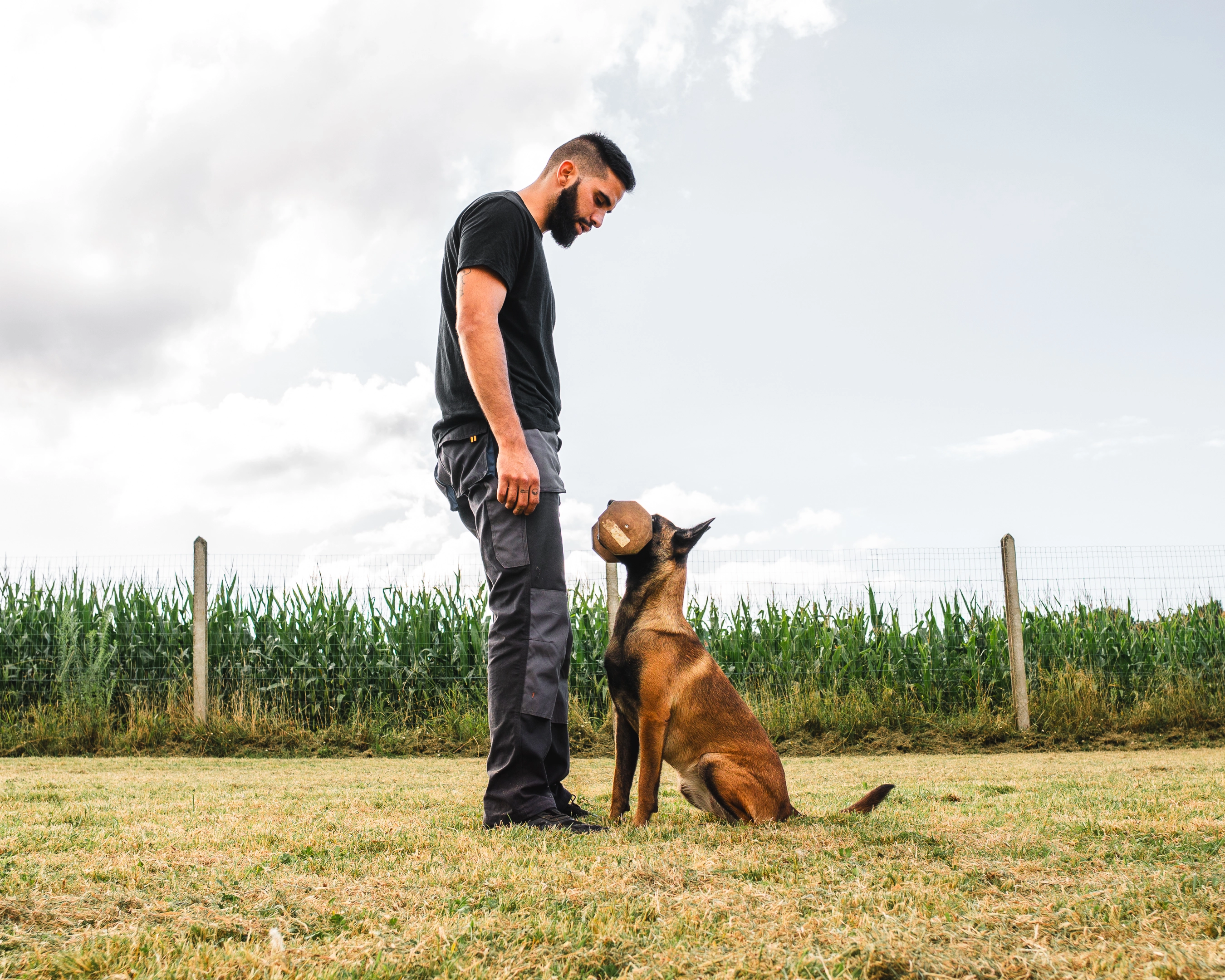 Educación canina 10