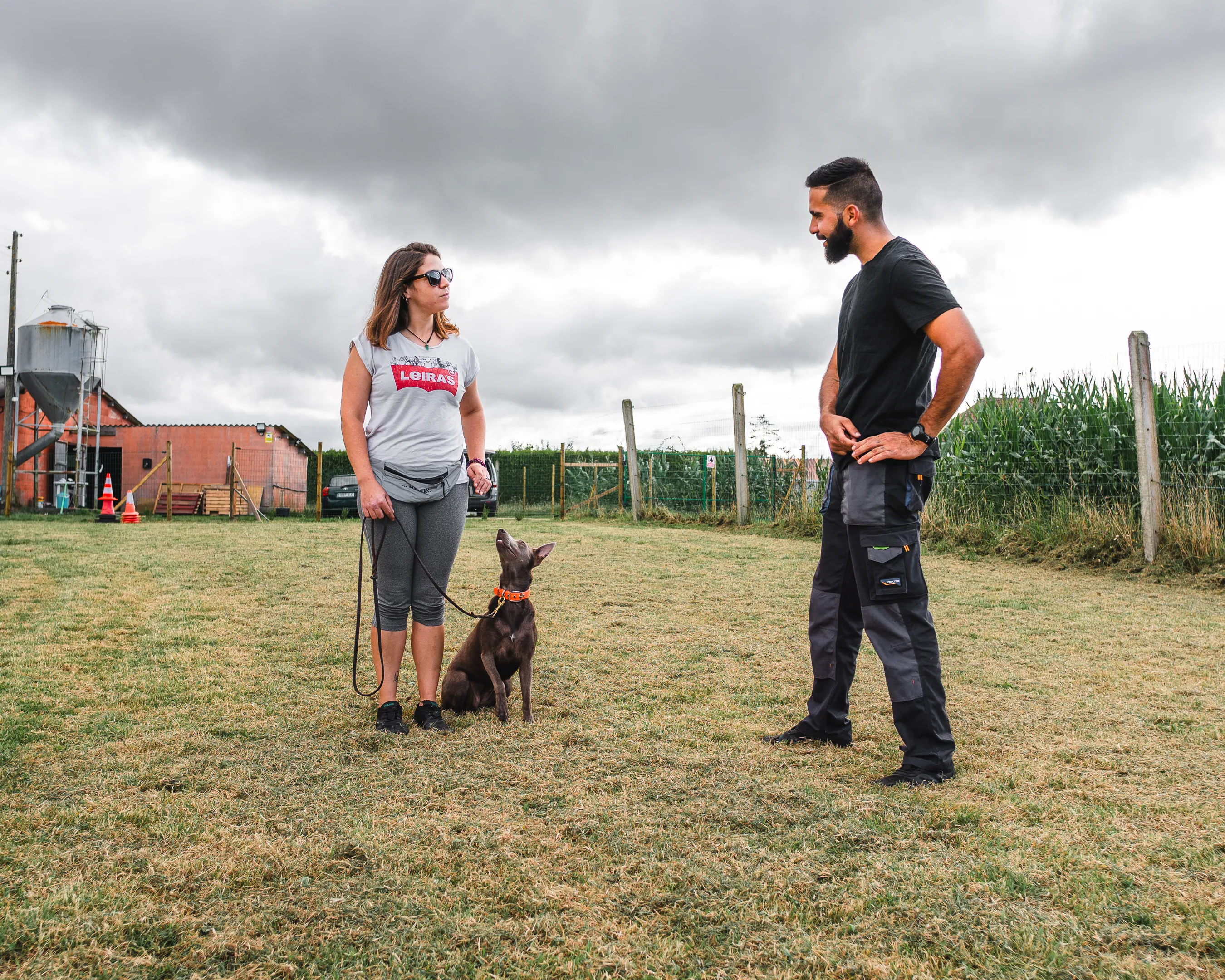Educación canina 9