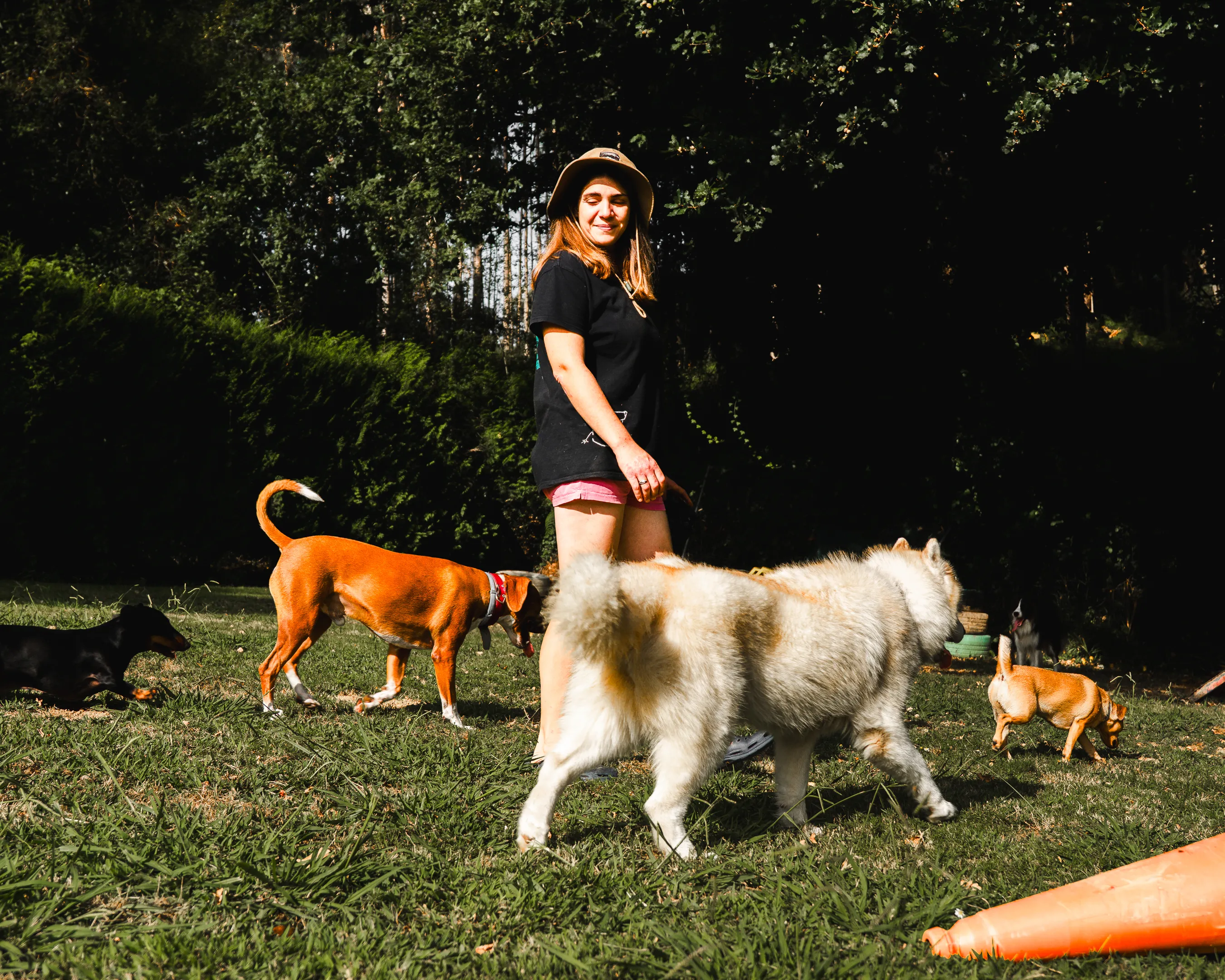 Paseos caninos 17